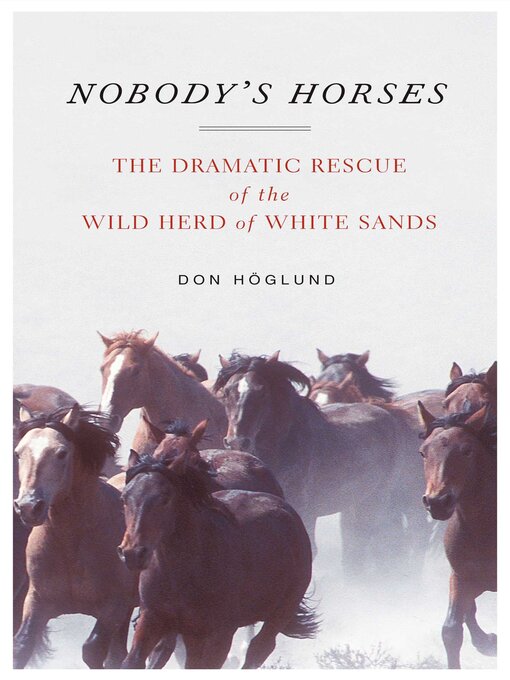 Cover image for Nobody's Horses